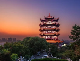 Wuhan: Bio-Smuggling Charges and Airport Expansion – What We Know